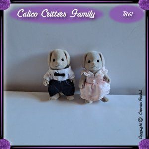 Fancy Basset Dog Adults